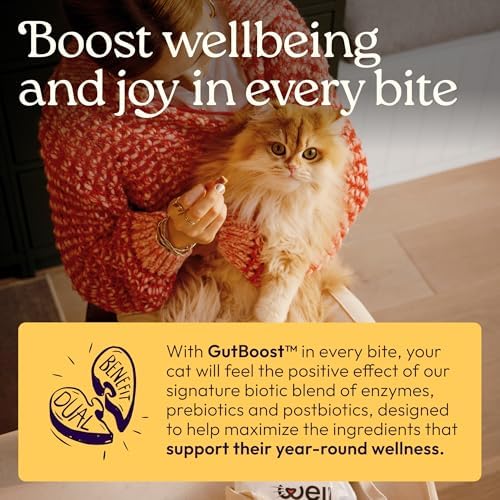 WellJoy Immune Cat Supplement + Lysine, Astaxanthin, GutBoost, 90ct