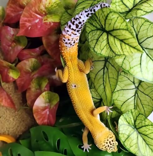 Reptile Plants for Terrarium,Habitat Decor, Hanging Plant with Suction Cup