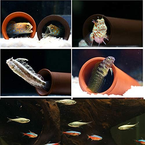 Aquarium Pleco Cave Decorations, 5.3 Inches Spawning Shelter Breeding Hideout Ornament Fish Tank Accessories for Fish Ornament Hideaway - Brown