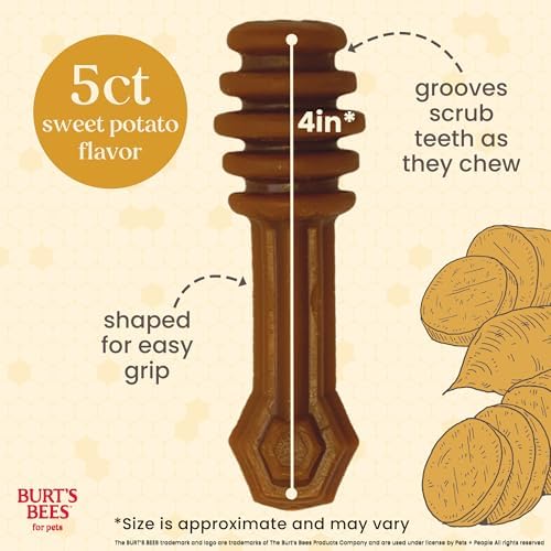 Burt's Bees Manuka Honey Ginger Dental Dog Treats, Sweet Potato, Large