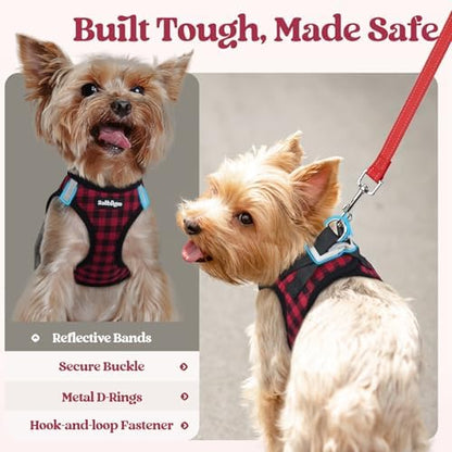 rabbitgoo Dog Harness Medium Sized and Leash Set, Step-in Puppy Pet Vest