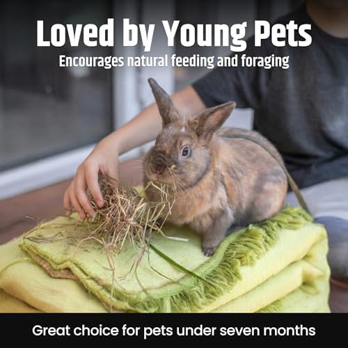 High Desert Alfalfa Hay for Young Rabbits and Guinea Pigs, 1 lb Box