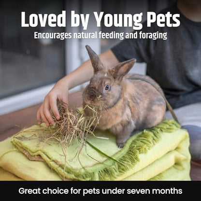 High Desert Alfalfa Hay for Young Rabbits and Guinea Pigs, 1 lb Box