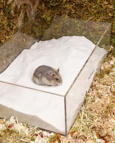 Niteangel Hamster Desert Bath Sand: 2.5lb/40oz No-Dust Bath & Easy to Clump