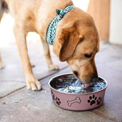 Loving Pets Bella Dog Bowls- Stainless Steel Dog & Cat Bowls - Spill Proof Dog Food Bowl, Cat Bowl, Puppy Essentials & Pet Supplies Great for Home & Travel (Small 10-20 lbs, Grape)