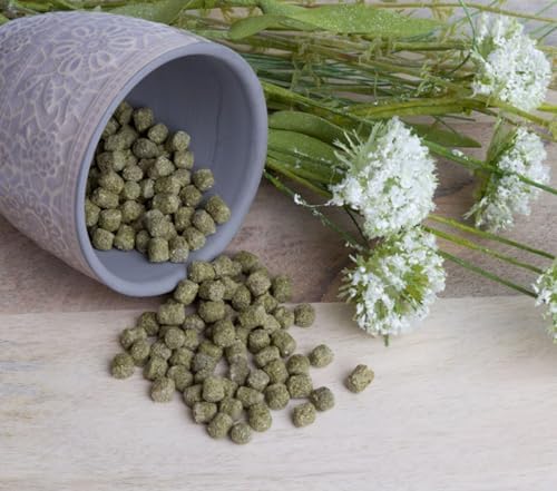 Bunny Nature - Crispy Snack - Vegetables – Wholesome, Crunchy Treat for Rabbits and Small Animals – Made with Natural Ingredients, Packed with Nutrients