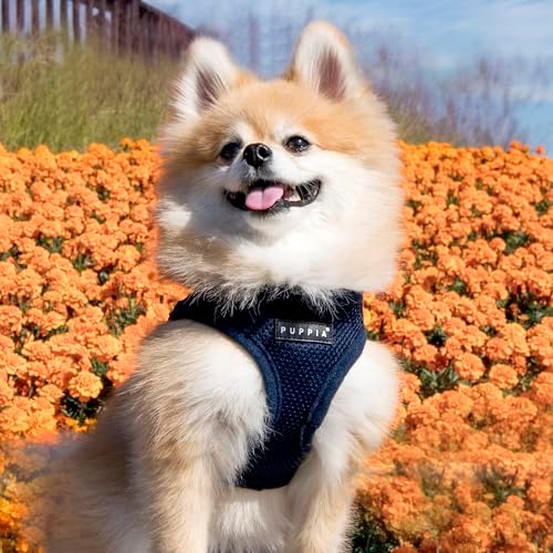 PUPPIA International PUAH305NYSM Soft Harness B Vest, Small
