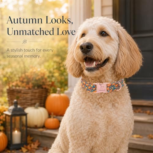 Fall Pumpkin Dog Collar, Cute Thanksgiving Dog Collar - Soft Cotton Autumn Puppy Collars, Adjustable Heavy-Duty Metal Buckle Pet Collars for Small Medium Large Boy Girl Dogs S