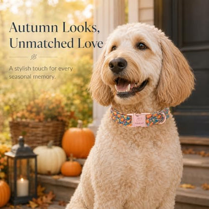 Fall Pumpkin Dog Collar, Cute Thanksgiving Dog Collar - Soft Cotton Autumn Puppy Collars, Adjustable Heavy-Duty Metal Buckle Pet Collars for Small Medium Large Boy Girl Dogs S