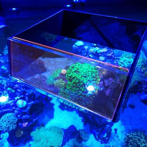 Flipper Ultra Clear Aquarium Top Down Underwater Viewer with Removable Orange Filter for Coral and Fish Observation - Aquarium Filter with Unique Artwork Box - Ideal for Color Coral and Reef Pictures