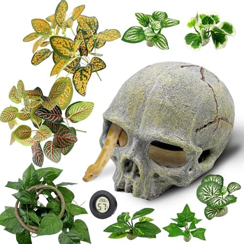 Tfwadmx Aquarium Resin Reptiles Skull Hide Cave Snake Hideout Decor