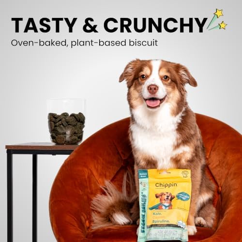 Chippin Healthy Dog Treats, All Natural Crunchy Biscuits with Real Spirulina, Kale, Oats, No Meat, Hypoallergenic, Vegan Treats for Puppy, Small, Large Dogs