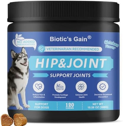 Biotic’s Gain Dog Joint Supplement | Glucosamine for Dogs | 120 Soft Chews