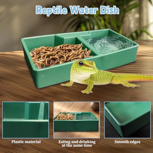 PINVNBY Reptile Feeding Box 6 PCS Snake Breeding Box Lizard Cricket Cage Habitat Hatching Container Transparent Portable Critter Keeper for Spider Scorpion Gecko Tortoise Treefrog (2 Large 4 Small)