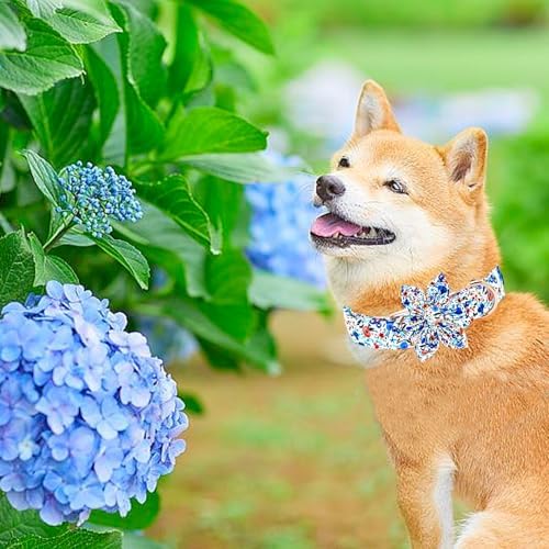 Dog Collar-Flower Print Adjustable Cute Pet Collar Soft Blue Floral Dog Collars with Flower Durable Cotton Metal Buckle Puppy Collar Gift for Small Dogs