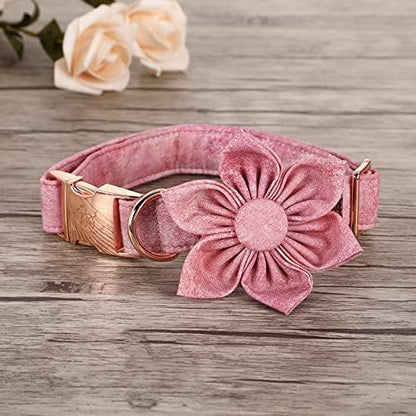 Elegant little tail Pink Girl Dog Collar for Female Dogs, Pet Collar Adjustable Dog Collars with Flower Gift for Medium Dogs