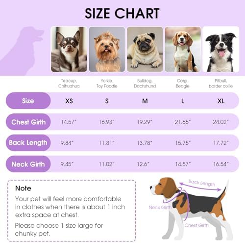 Queenmore Small Dog Shirt,Soft Breathable Dog Shirt for Dogs Cats Boy Girl,Pet Clothes for All Season,Breathable Lightweight Pet Tshirt for Frenchie, Dachshund, Yorkie