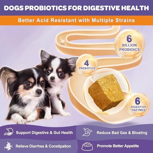 NATURE TARGET Probiotics for Dogs, 6 Billion CFUs, Freeze Dried, 180 Chews
