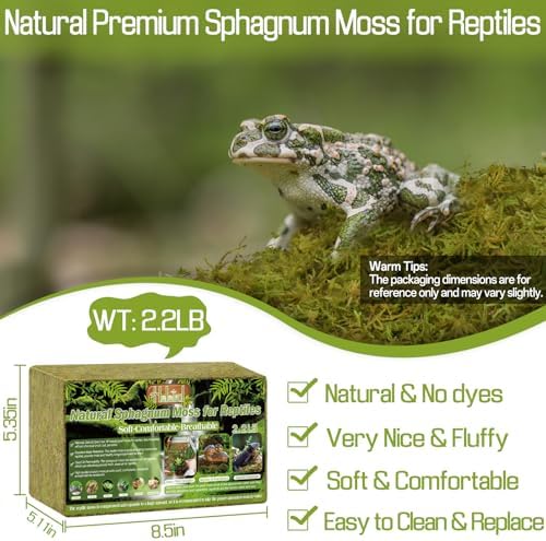 Halatool 2.2 LB Sphagnum Moss for Reptiles - Green Terrarium Moss