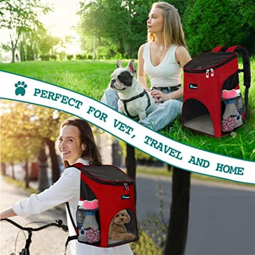 PetAmi Cat Backpack Carrier for Small Dogs and Large Cats, Airline Approved