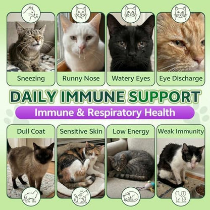 Lysine for Cats, L-Lysine for Cats Chews & Treats, 500 Ct, Immune Support