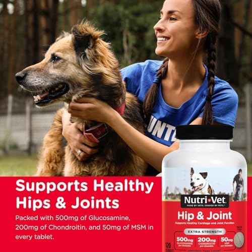 Nutri-Vet Extra Strength Hip & Joint Supplement, 500mg Glucosamine, 120 Ct