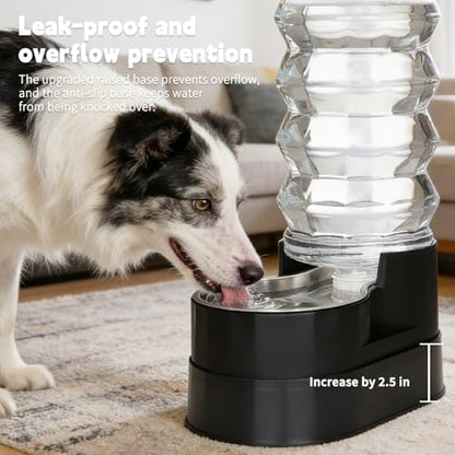 RIZZARI 9L Elevated Dog Waterer: Large Capacity Hydration