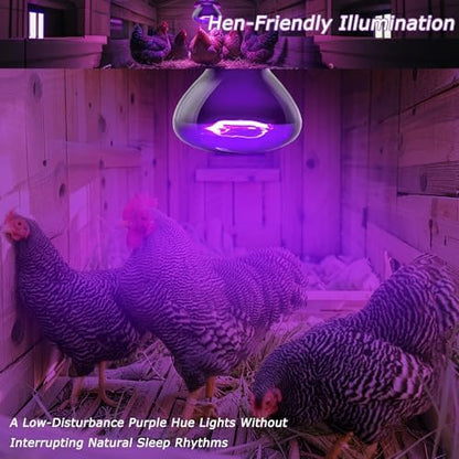 Reptile Moonlight Bulb, 75W Gentle Night Light for Terrariums