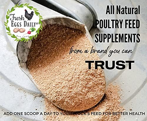 Fresh Eggs Daily Poultry Probiotics Feed Supplement – Natural Digestive & Immune Support for Chickens & Ducks – Enhances Egg Quality & Reduces Odor – 6 lb