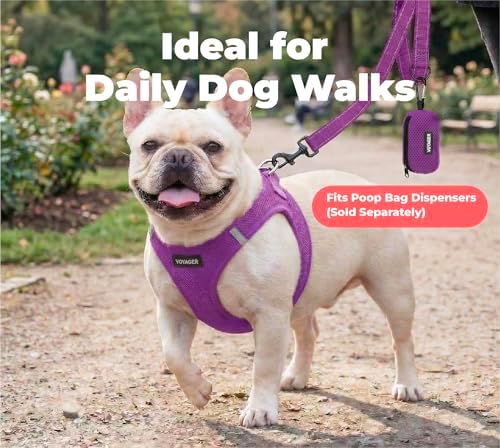Best Pet Supplies Voyager Nylon Dog Leash - Purple, Medium