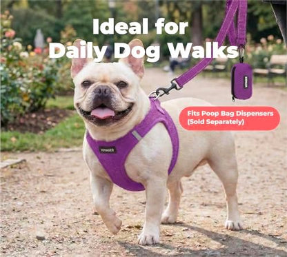 Best Pet Supplies Voyager Nylon Dog Leash - Purple, Medium