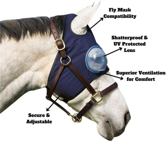 Equine-Medi Lens Horse Eye Protection Hood, Shatterproof, Flexible Lens for Corneal Ulcers, & Eye Injuries, Compatible w/Horse Fly Mask, MD/LG Size