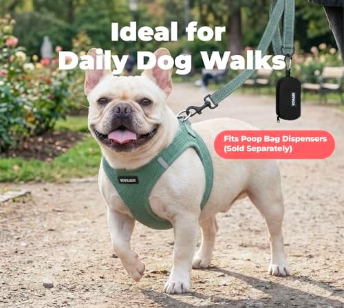 Best Pet Supplies Voyager Nylon Dog Leash - Moss Green, Small