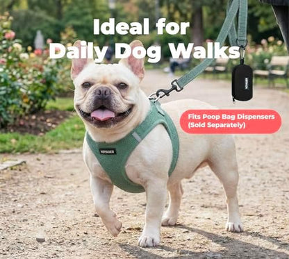 Best Pet Supplies Voyager Nylon Dog Leash - Moss Green, Small
