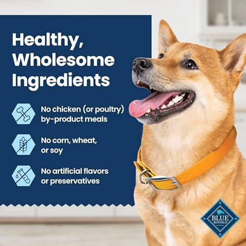 Blue Buffalo Chicken & Spearmint Small Dental Chews, 22.6 oz, 56 ct