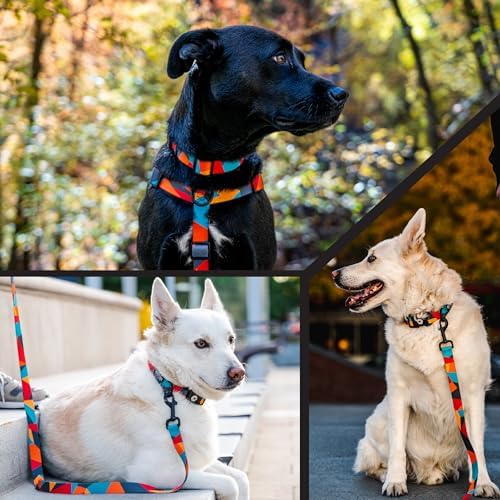 Wolfgang Wide Venture Dog Collar Shattershapes Print Medium