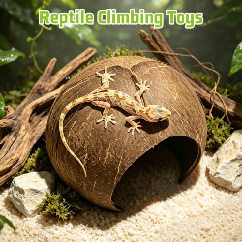 PINVNBY Large Natural Coconut Reptile Hideouts Lizard, Coco Hut Hermit Crab Hut Aquarium Fish Hide Cave for Small Reptile Crested Gecko Leopard Gecko Spider Snail Climber Toys