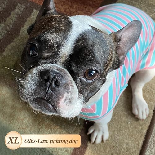 KYEESE 2Pack Cotton Dog Shirt for Small Medium Dogs Soft Striped Tank Top