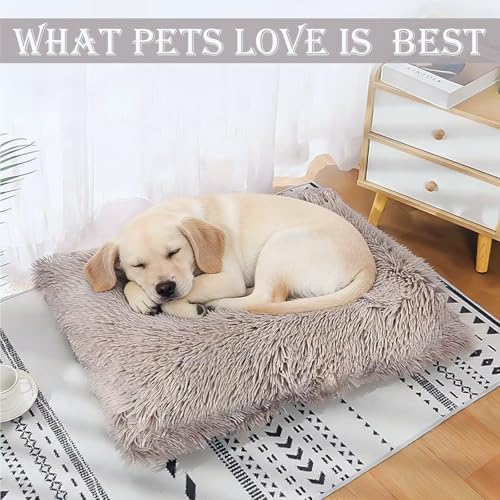 Washable Calming Dog & Cat Bed for Ultra Large Small Medium Size Pet