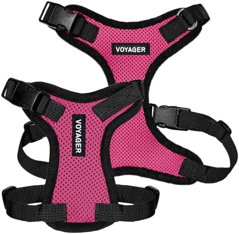 Voyager Step-in Lock Dog Harness - Fuchsia/Black Trim, Medium
