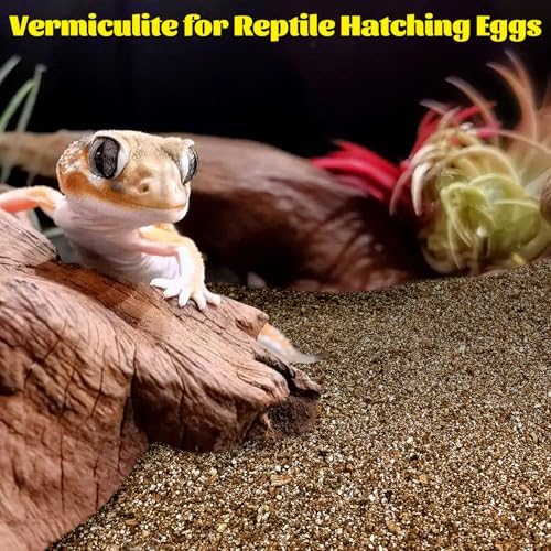 Hamiledyi Vermiculite for Incubating Reptile Eggs Terrarium Bedding Snake Habitat Substrate Reptile Bedding for Tortoise, Gecko, Ball Python, Salamander, Snake, Horned Frog(2Pack,0.87gal)