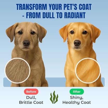 Life Line Certified Organic Ocean Kelp Supplement for Dogs, Cats & Horses | Boosts Coat Health, Reduces Shedding, Fights Plaque & Tartar, Supports Digestion, USDA certified - 5 lb