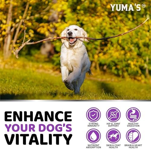 Dog Vitamins and Supplements - 170 Chews - Dog Multivitamin Chewable
