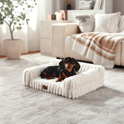 Orthopedic Dog Bed Medium 30x20x8.5” Washable Cover Cream