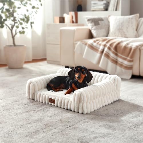 Orthopedic Dog Bed Medium 30x20x8.5” Washable Cover Cream