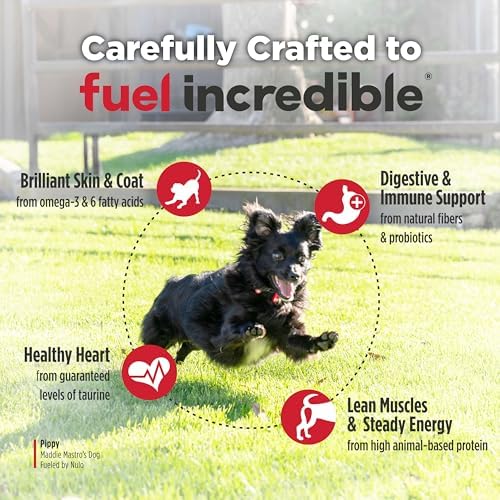 Nulo Freestyle Small Breed Dog Food Dry - Beef & Sweet Potato, Puppy & Adult Grain Free Dog Food, Natural, High Protein, Smaller Sized Kibble with BC30 Probiotic for Healthy Digestion Support, 14lb