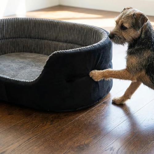 Large Dog Bed Cat Bed 20x30 Inch,Calming Pet Bed for Dogs & Cats,Machine Washable Dog Bed,Half-Enclosed Open-Top Velvet Anti-Anxiety Bed,Cozy Snuggle Bed (Black)
