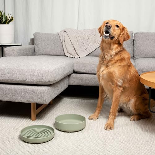 The Perfect Dish - Silicone Dog Bowl for Food & Water, 9.5" x 2.5"- Sage