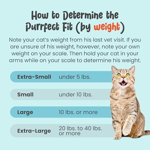 Cat-in-the-Bag Cozy Comfort Carrier - Extra Small Charcoal Cat Carrier Soft and Pet Carrier for Nail Clipping, Vet Visits, Medication Administration, Dental Care, and Traveling