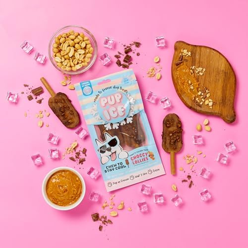 SPOT Pup Ice Dog Treats – Freeze-at-Home Edible Chews for Medium Breed Dogs & Puppies, Safe Peanut & Carob Flavor (No Chocolate), 2ct Rocket Lollies with Real Chicken